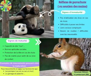 description du réflexe archaïque de parachute chez l'adulte et l'enfant